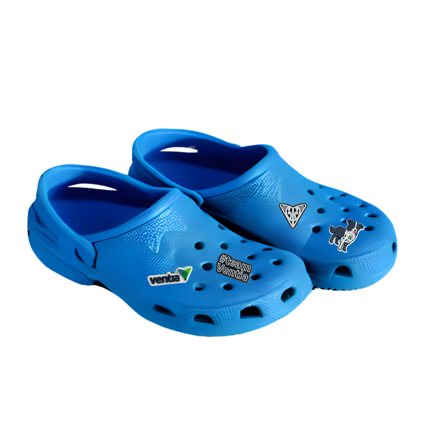 #TeamVentia Shoe Charm