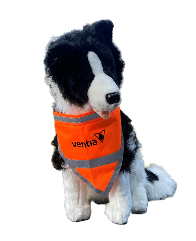 Fluorescent Orange Reflective Dog Bandana