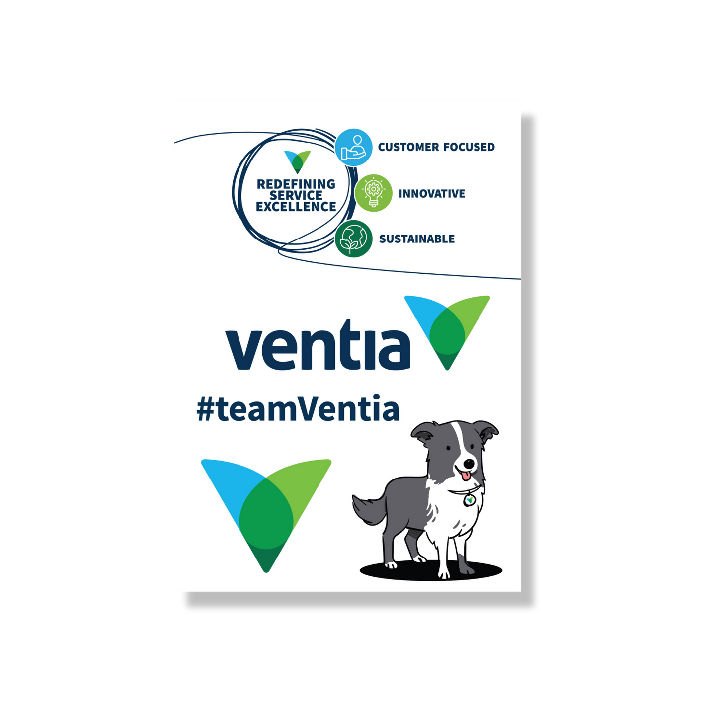 Welcome To #TeamVentia Swag Box