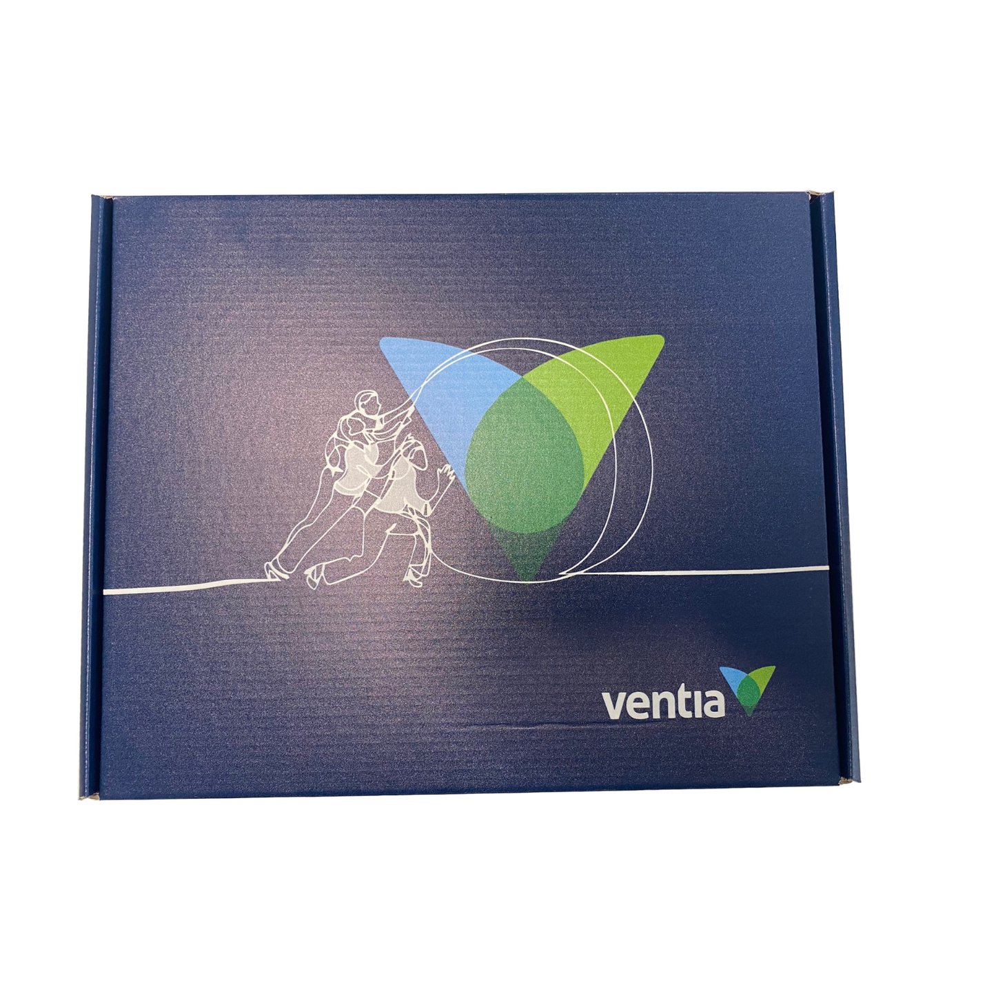 Ventia Branded Box (flat pack)