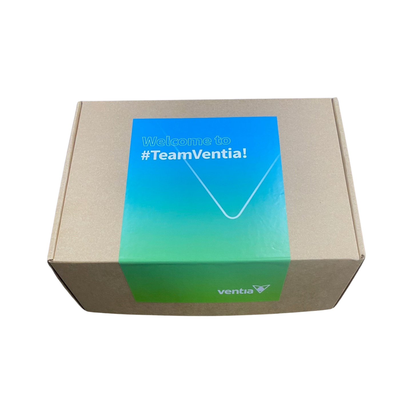 Welcome To #TeamVentia Swag Box