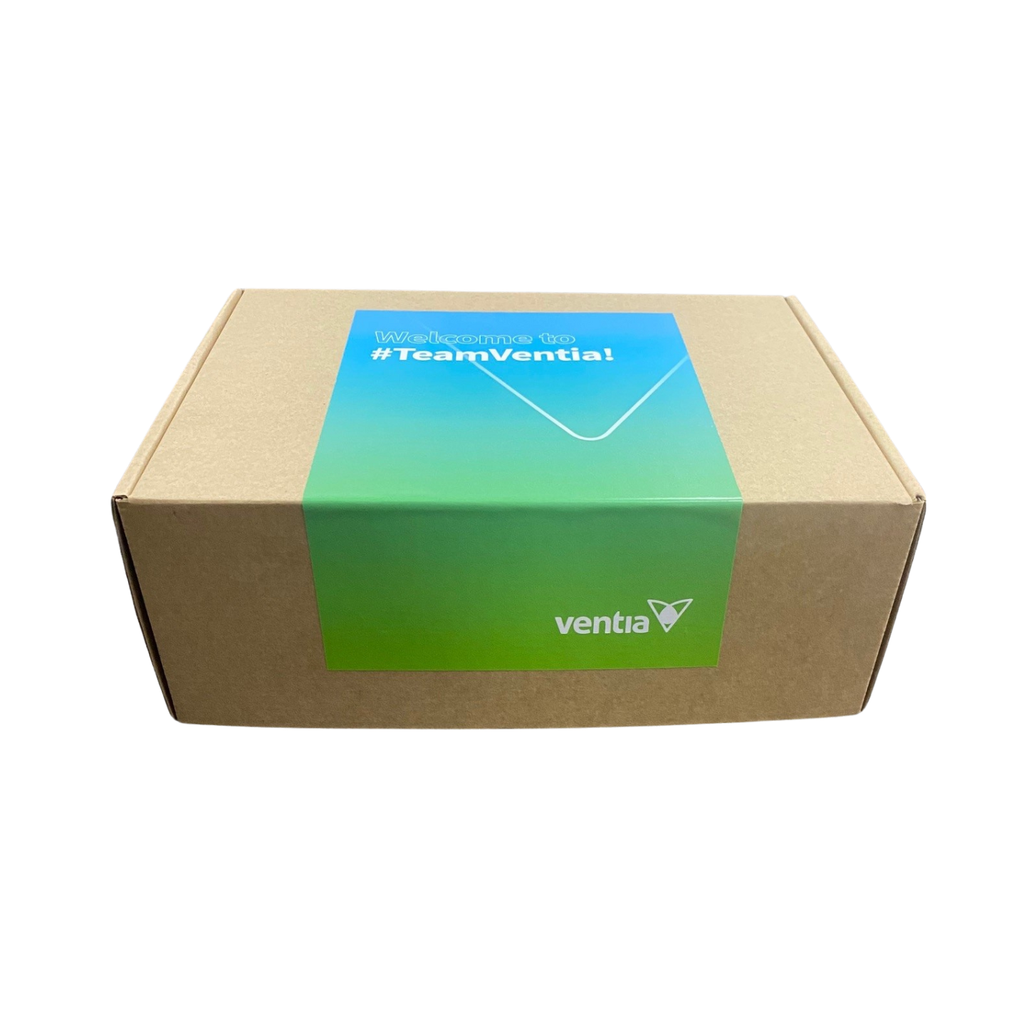 Welcome To #TeamVentia Swag Box