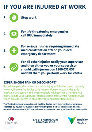 Healthy Bodies early intervention poster pack of 5